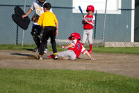 2012 Ararat 9U-19